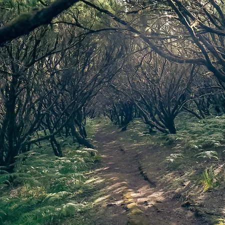 The Mountain View, By Op * Сан-Висенти