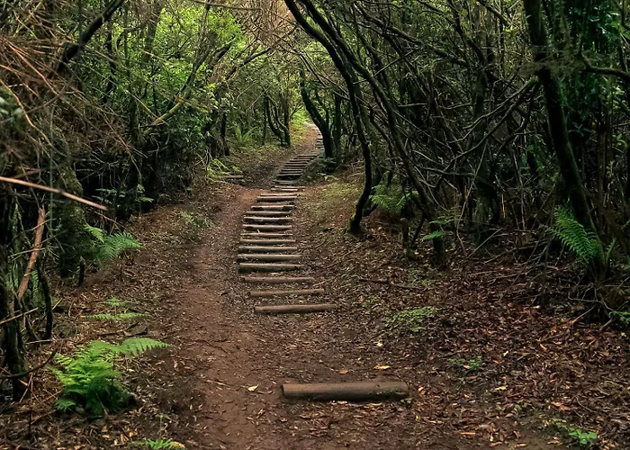 The Mountain View, By Op Sao Vicente (Madeira)